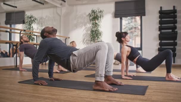 Vista lateral de personas de raza mixta realizando ejercicios de yoga en colchonetas de fitness en el estudio de bienestar. Entrenando activamente juntos. Tener buena salud y buen humor durante el entrenamiento. Concepto de meditación. - Metraje, vídeo