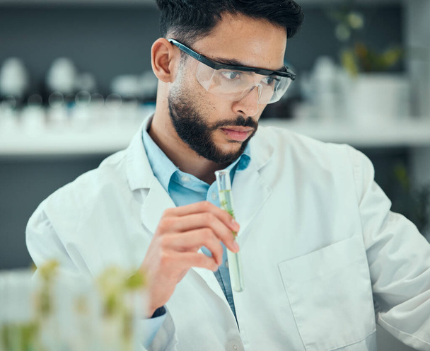 Science, test tube plant and man research natural product, biotechnology or botany drugs innovation. Lab investigation, pharmacy trial process and male scientist inspection of organic biochemistry. - Photo, Image