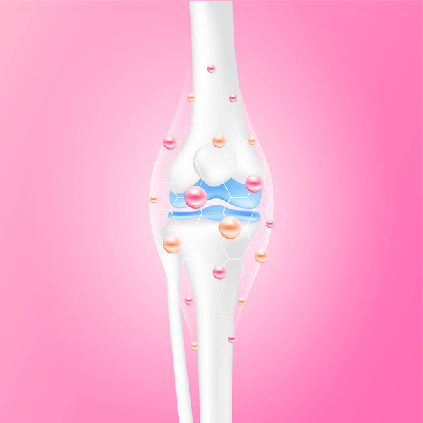 Huesos de la pierna y rodilla lado de la articulación saludable. Suero de colágeno y hexágono de línea de calcio que conecta el cartílago óseo de cuidado envolvente sobre fondo rosa. Anatomía del esqueleto humano. vector 3D realista. - Vector, Imagen