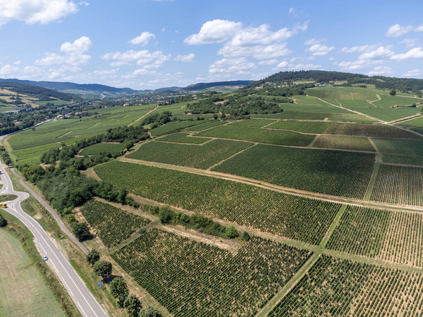 Heuvelgroene wijngaarden van de regionale appellation Maconnaise, wijnbereiding in Bourgogne bij Macon, Frankrijk - Foto, afbeelding