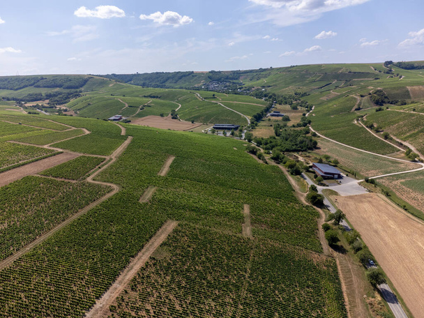 Sancerre adından üzüm bağları, Sauvignon Blanc üzümünden yapılan kuru beyaz şarap Loire nehrinin yamaçlarında farklı toprak türleri üzerinde yetişiyor, Fransa - Fotoğraf, Görsel