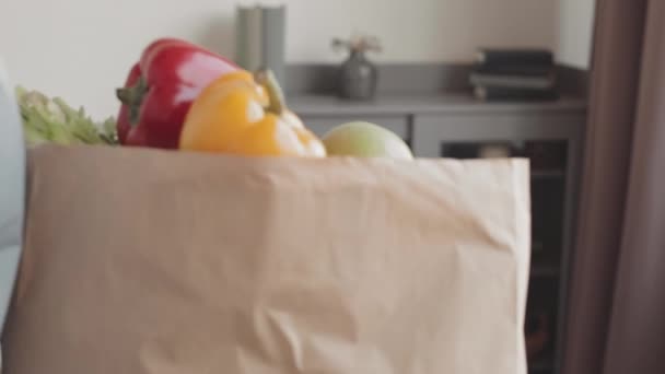 Young African American female social worker bringing fresh fruit and vegetables and other food products in paper shopping bag to Caucasian old man resting on couch at home - Footage, Video