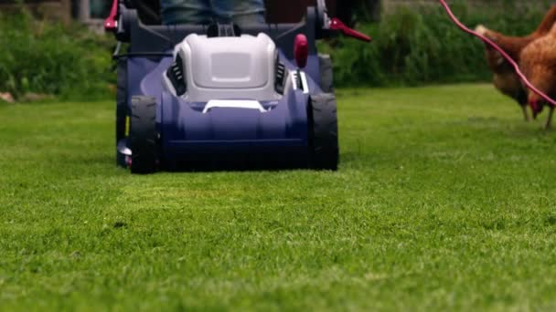 Elektryczna kosiarka do koszenia trawnika w ogrodzie średnim ujęciu slow motion 4k shot selective focus  - Materiał filmowy, wideo