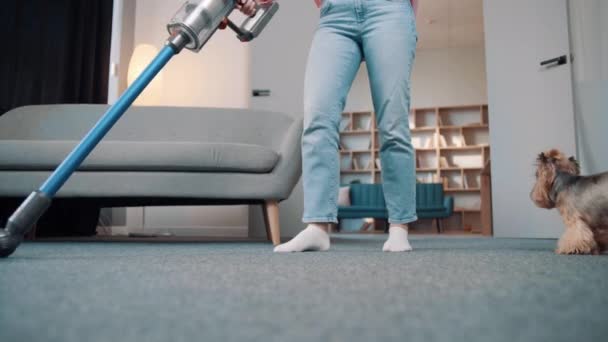 A young European girl in cozy home clothes cleans the carpet from the dog hair of a golden Yorkshire terrier with a wireless vacuum cleaner in the apartment - Footage, Video