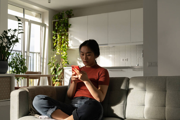 Skupiona azjatycka dziewczyna relaksująca się na mediach społecznościowych siedząc przytulną sofą w słońcu. Przystojna milenijna kobieta przewijająca internet, porównaj zakupy w sklepie internetowym, czatująca na portalach randkowych. - Zdjęcie, obraz