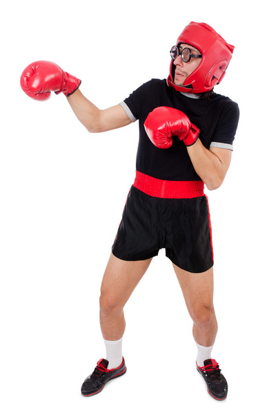 Boxer drôle avec gants rouges
 - Photo, image