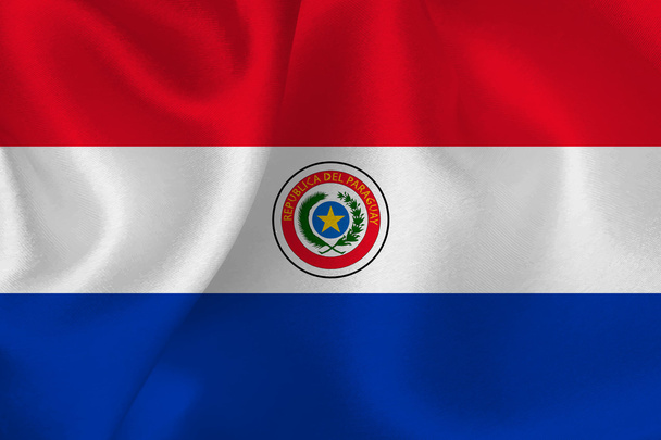 Paraguay Flag Flag - Vector, Image