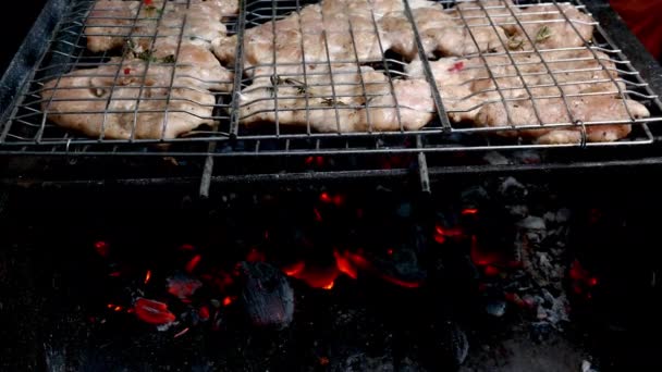 Auf brennender Holzkohle angebratene saftige Hähnchenfiletstücke stehen auf dem Grillrost. Fleisch gebraten auf einem Metallgrill zum Kochen am Wochenende. Nahaufnahme. - Filmmaterial, Video