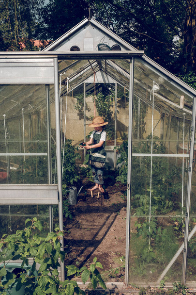 夏の温室で働いている間エプロンの裸足の子供の側面の眺め 緑の成長する植物に水を噴霧します - 写真・画像