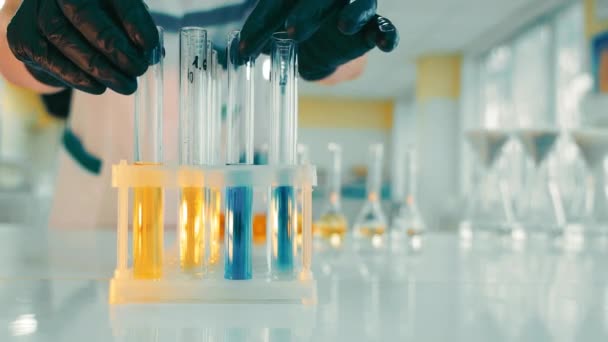Laboratory Specialist conducting Soil Research in Modern Lab Room. Close up of Female Hands in black Rubber Gloves inserting Test Tubes with yellow and blue Liquids into special Holder. - Footage, Video