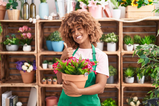 Młoda Latynoska kobieta z kręconymi włosami pracuje w kwiaciarni trzymając roślinę uśmiechnięta szczęśliwy i pozytywny, kciuk do góry robi doskonałe i znak aprobaty  - Zdjęcie, obraz