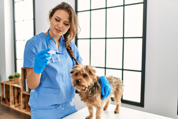 Jovem bela mulher hispânica veterinário medindo a temperatura do cão segurando termômetro em casa - Foto, Imagem