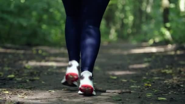 Faire place aux natures Beauté : Jogging actif des filles le long des sentiers sereins du parc. Images 4k de haute qualité - Séquence, vidéo