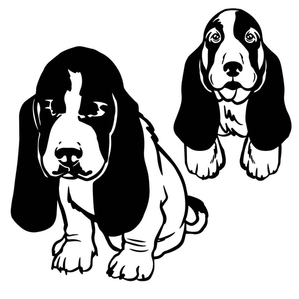 Illusztráció egy aranyos Basset Hound Puppy: imádnivaló kis kutya - Vektor, kép