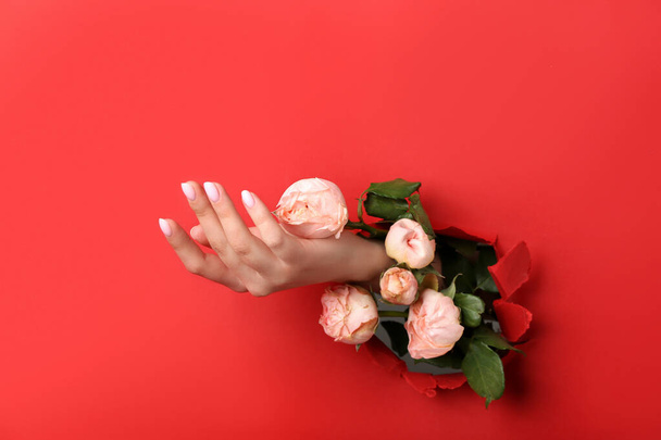 Main féminine avec des roses visibles à travers un trou dans du papier rouge - Photo, image