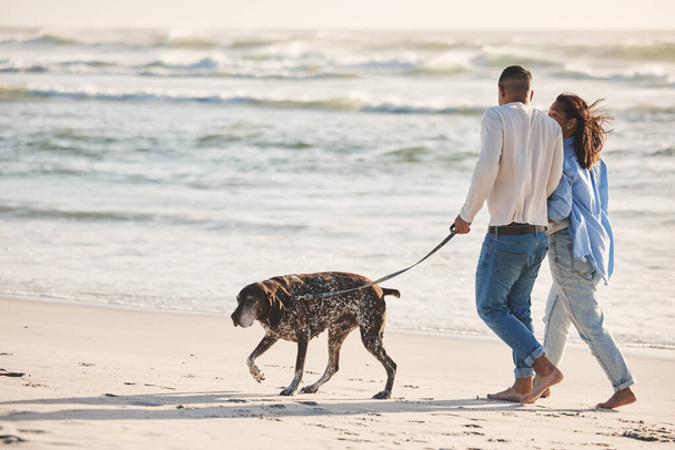 Strand, Spaziergänge und Paar mit Hund zum Entspannen am Meer für Freiheit, Abenteuer und Bindung im Sommer. Glückliches Haustier, aufgeregter Hund und Mann und Frau am Meer für Bewegung, Wellness und Gesundheit in der Natur. - Foto, Bild