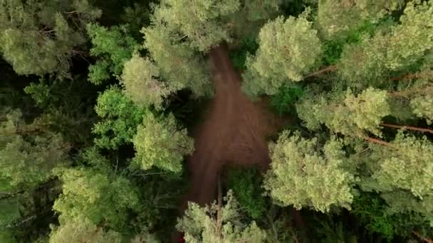 Widok z lotu ptaka drzewo leśne, ekosystem lasów deszczowych i zdrowe środowisko koncepcja i tło, tekstura zielonego drzewa widok z góry. - Materiał filmowy, wideo