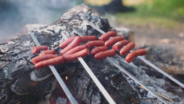 Saucisses grillées sur une broche dans un feu de camp - Séquence, vidéo