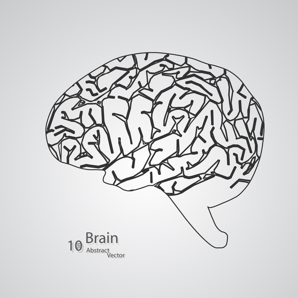 Творча концепція людського мозку
 - Вектор, зображення