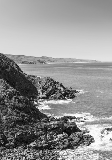 Línea costera australiana Blanco y Negro
 - Foto, imagen