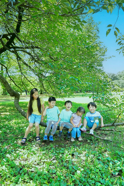 Kinder spielen und klettern auf Bäume im Park - Foto, Bild