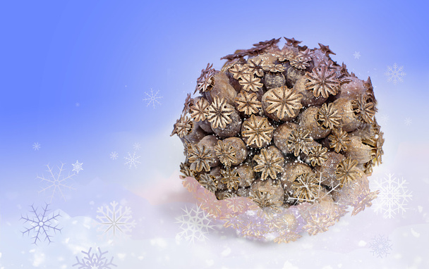 Μπάλα από αποξηραμένα κεφάλια παπαρούνας με νιφάδες χιονιού - Φωτογραφία, εικόνα