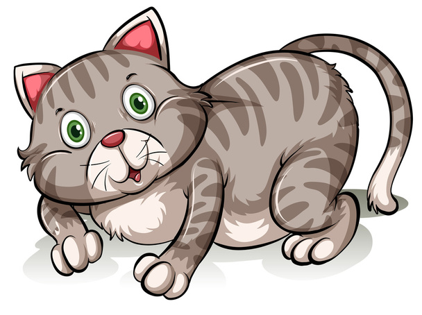 Gato gris graso
 - Vector, imagen