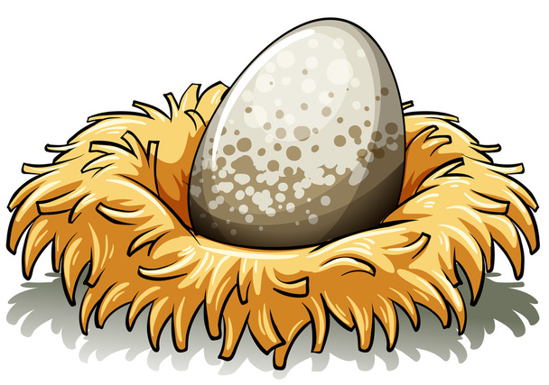 гніздо з яйцем
 - Вектор, зображення