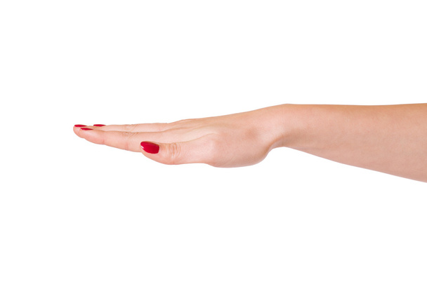 Female hands over white background - Foto, afbeelding