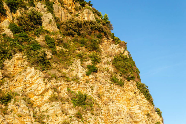 Auringonvalaistut kalliot, peitetty oksat ikivihreitä puita, Petrovac na Moru, Montenegro. - Valokuva, kuva