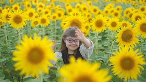 Una niña con síndrome de Down camina en un campo de girasol en verano. - Imágenes, Vídeo