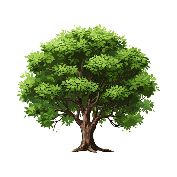 Kreslený realistický strom izolovaný na bílém pozadí. Roztomilá zelená rostlina, les. Lze použít pro ilustraci jakékoliv přírody nebo zdravého životního stylu tématu. - Vektor, obrázek