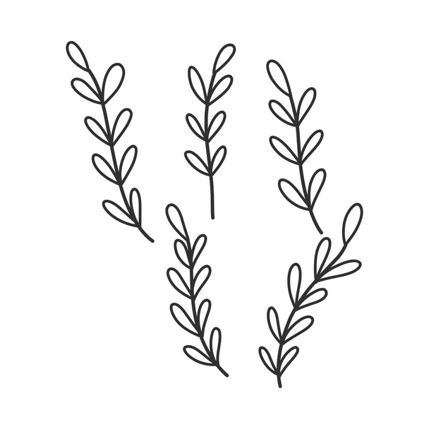 Ramo floral e folhas minimalistas para logotipo ou tatuagem. Linha desenhada à mão erva de casamento, flores silvestres elegantes. Desenho de arte de linha mínima para impressão, capa ou papel de parede - Vetor, Imagem