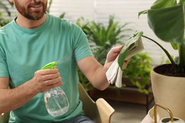 Man spraying beautiful potted houseplants with water indoors, closeup - Foto, imagen