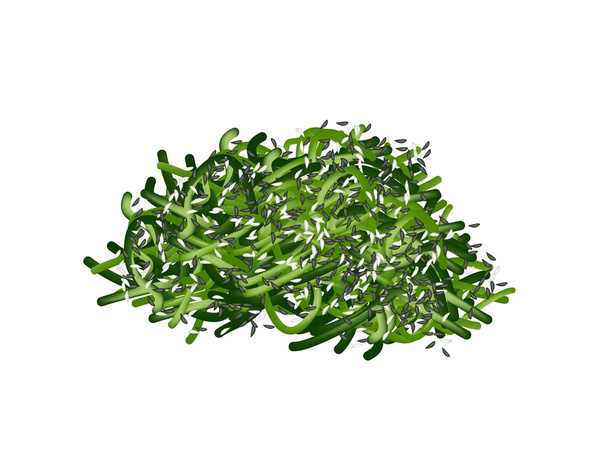 Ensalada de algas japonesas Chuka Wakame en blanco
 - Foto, imagen