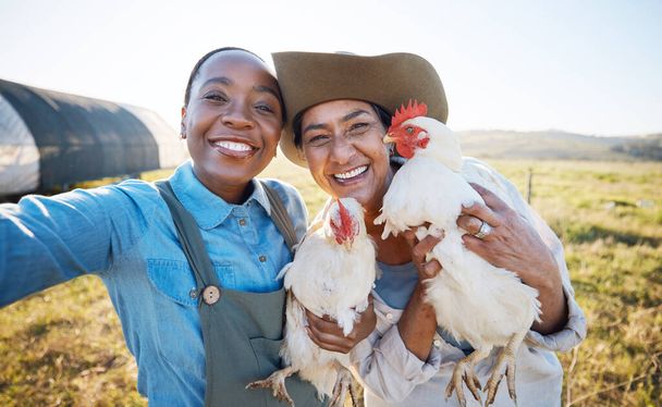 Uśmiech, selfie lub rolnicy na farmie kurczaków na wsi na polu zbioru zwierząt gospodarskich w małych przedsiębiorstwach. Media społecznościowe, szczęśliwy lub portret kobiet z ptakami zwierząt, aby zrobić zdjęcie do pamięci rolniczej. - Zdjęcie, obraz