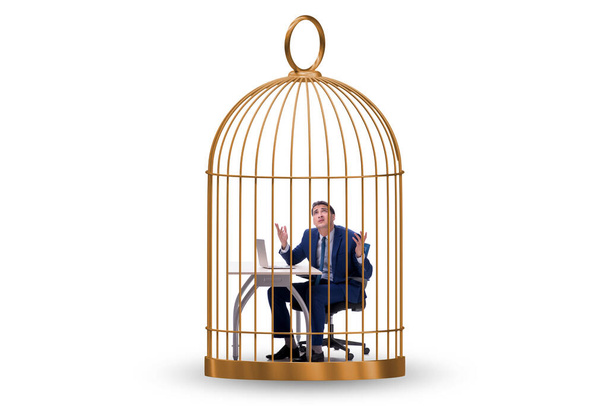 Zakenman gevangen in de kooi in business concept - Foto, afbeelding