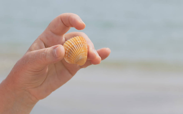 Female hand holding a seashell on the background of the sea - Photo, Image