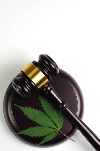 Feuille de cannabis ou feuille de marijuana avec marteau juge sur fond blanc. Droit, concept judiciaire. - Photo, image