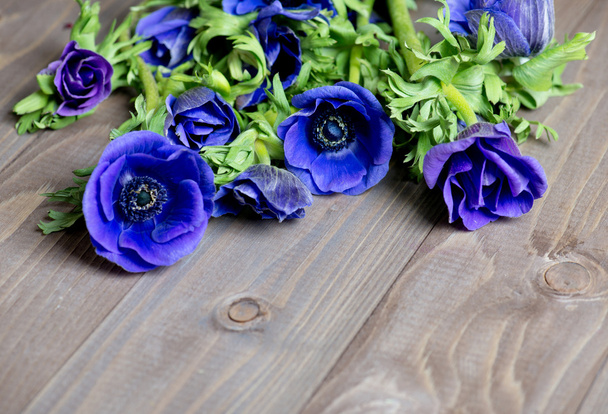 flor de anémona sobre fondo de madera
 - Foto, imagen