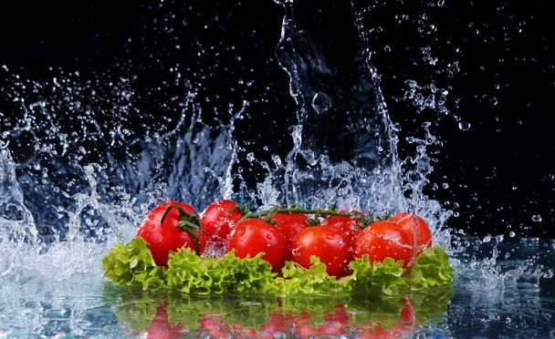 Salad, tomato and with water drop splash - Photo, Image