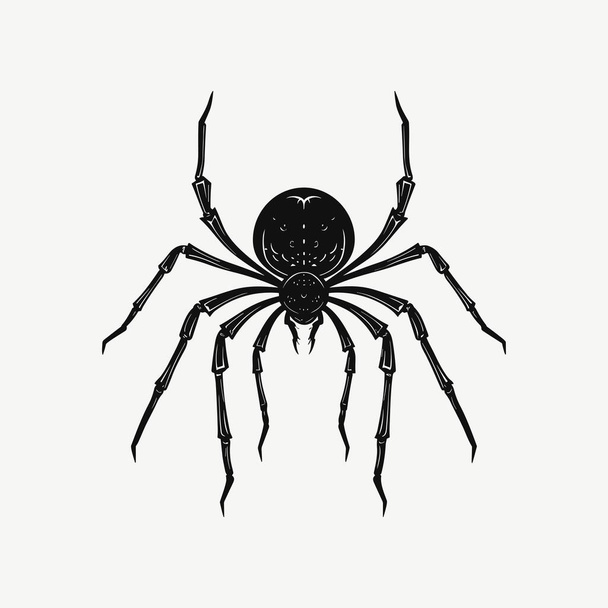 Ο περίπλοκος σχεδιασμός μιας αράχνης - Διάνυσμα, εικόνα