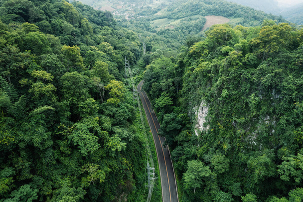 Route au milieu de la forêt verte après la pluie - Photo, image