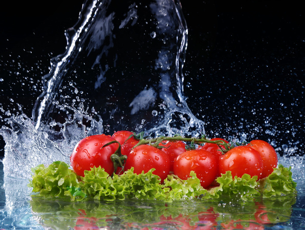 Saláta, paradicsom és víz csepp splash - Fotó, kép