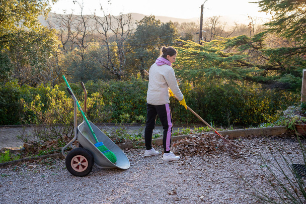 Woman gardening, collecting autumn leaves with a rake in early winter, in Provence, a region of southern France. - Foto, Imagen