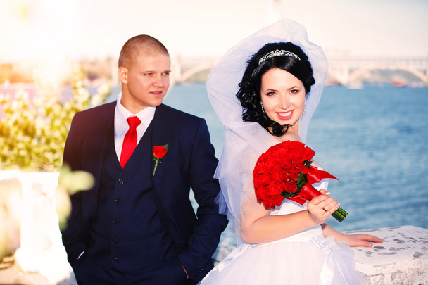 Retrato de bela noiva e noivo na praia
 - Foto, Imagem