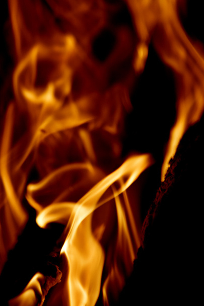 Fire on black - Фото, зображення