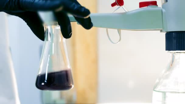 Detailní záběr Laboratorní dělníci Ruka v černé gumové rukavici drží bílou plastovou nádobu a třese tmavou látkou. - Záběry, video