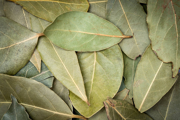 Sušené bobkový listy v misce - Fotografie, Obrázek