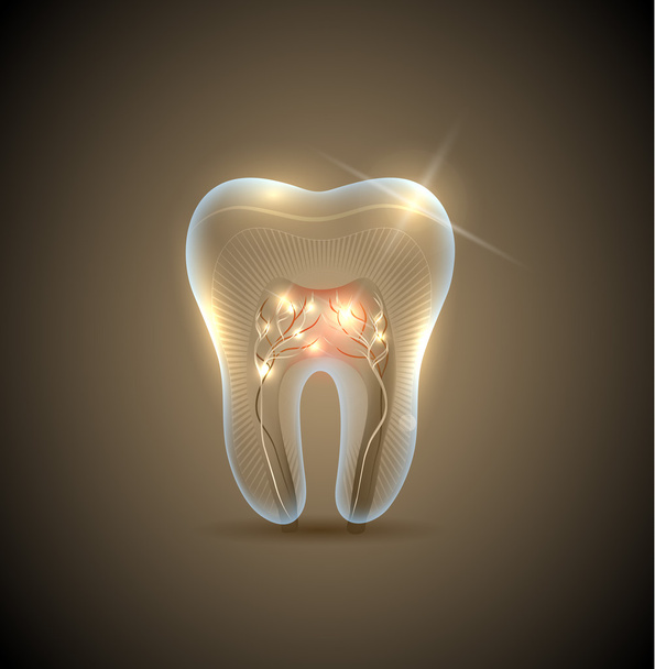 Hermoso diente transparente dorado con ilustración de raíces
 - Vector, imagen